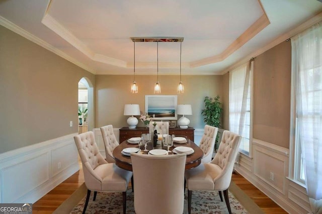 dining room featuring a raised ceiling, wood finished floors, plenty of natural light, wainscoting, and a decorative wall