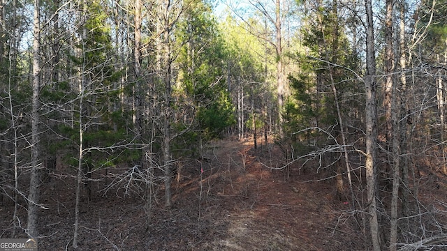 13 Cedar Creek Rd, Elberton, GA 30635