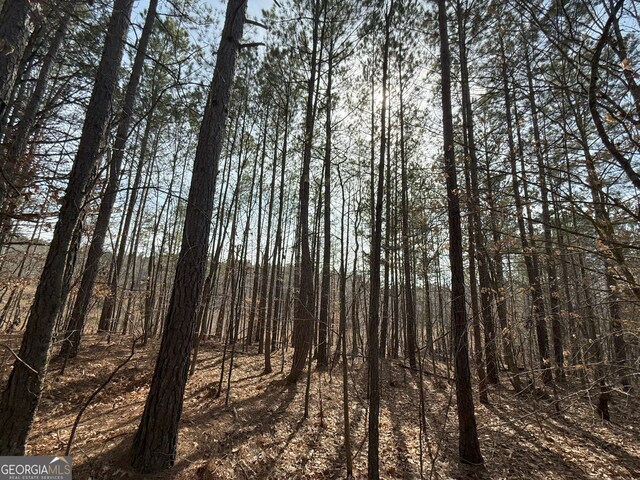 13 Cedar Creek Rd, Elberton, GA 30635