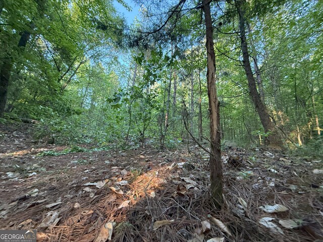 13 Cedar Creek Rd, Elberton, GA 30635
