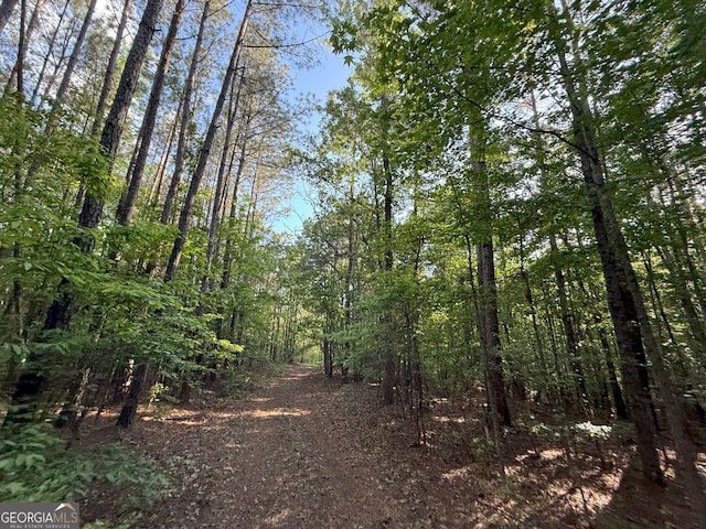 13 Cedar Creek Rd, Elberton, GA 30635