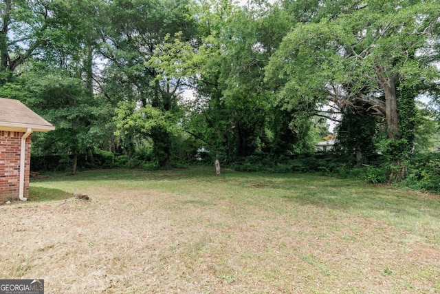 view of grassy yard