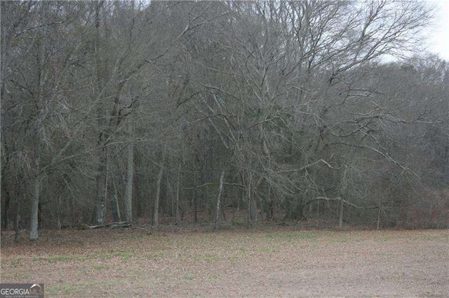 131 Queens Cemetery Rd, Good Hope, GA 30641 - view of tree filled area