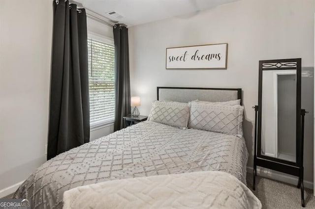 143 Treadstone Ln, Dallas, GA 30132 - view of carpeted bedroom