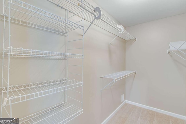 walk in closet featuring carpet flooring