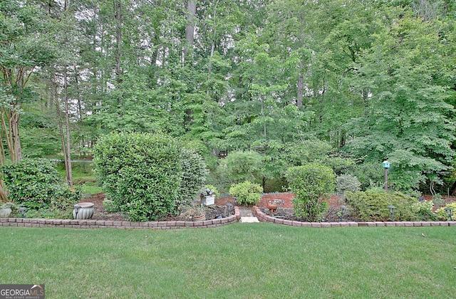 323 Newfield Way, Peachtree City, GA 30269 - view of grassy yard