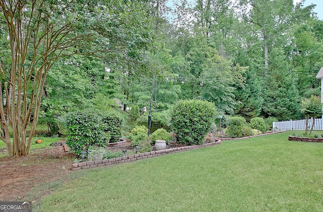 323 Newfield Way, Peachtree City, GA 30269 - view of yard