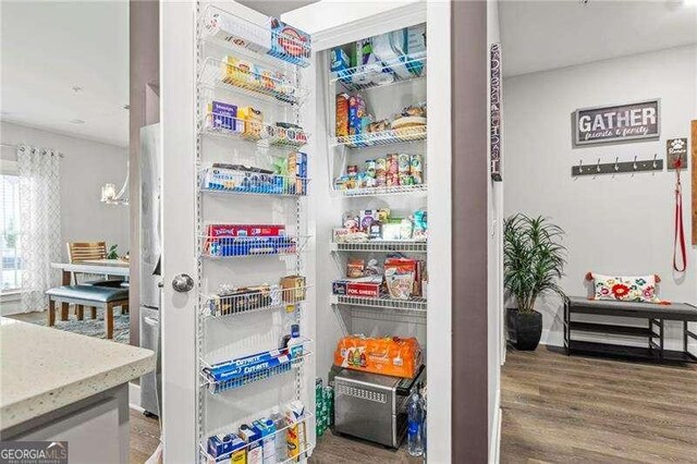 1700 Prospect Way, Conyers, GA 30094 - view of pantry
