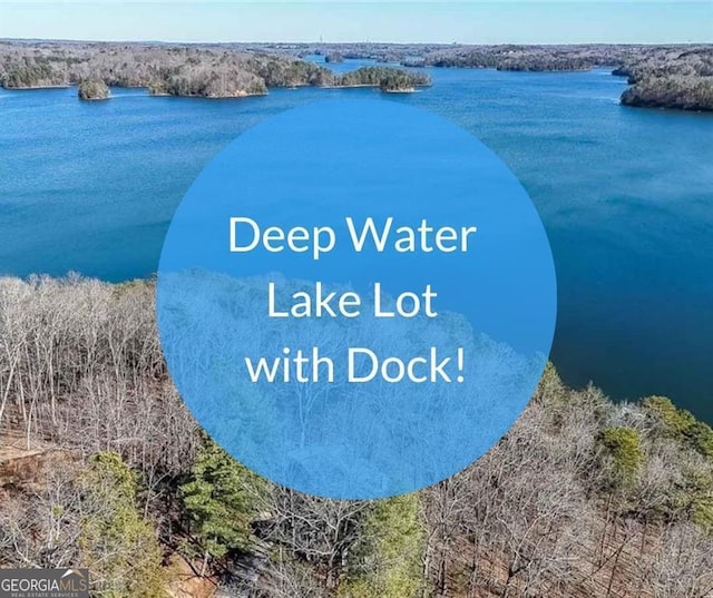 9460 Chestatee Ct, Gainesville, GA 30506 - aerial view of a large body of water