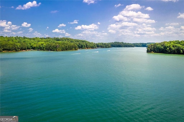 9460 Chestatee Ct, Gainesville, GA 30506 - water view with a forest