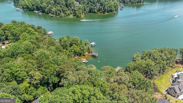 9460 Chestatee Ct, Gainesville, GA 30506 - drone / aerial view of a nearby body of water and a heavily wooded area