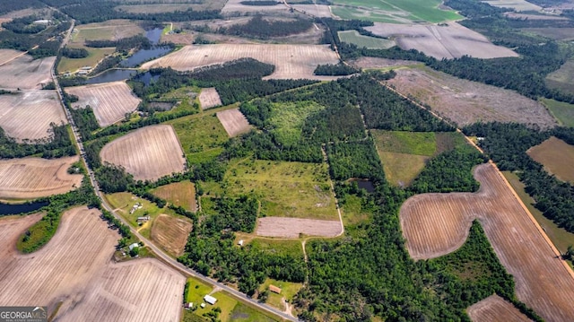 0 Snipesville Rd, Denton, GA 31532