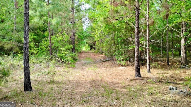 0 Snipesville Rd, Denton, GA 31532