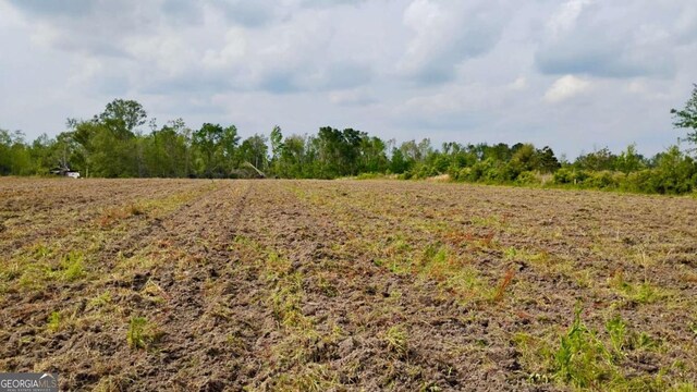 0 Snipesville Rd, Denton, GA 31532