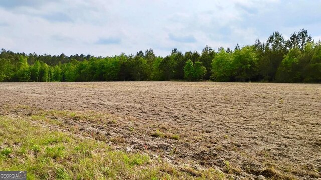 0 Snipesville Rd, Denton, GA 31532