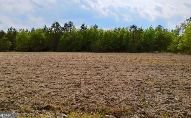 0 Snipesville Rd, Denton, GA 31532