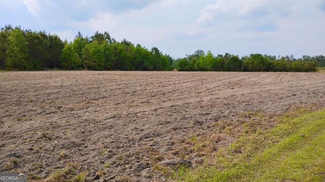 0 Snipesville Rd, Denton, GA 31532
