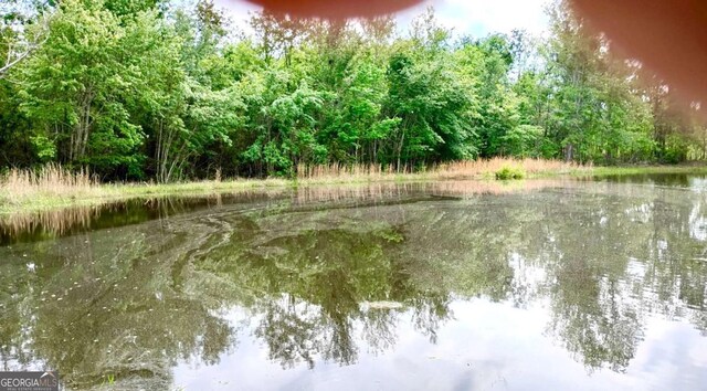 0 Snipesville Rd, Denton, GA 31532