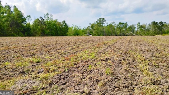 0 Snipesville Rd, Denton, GA 31532