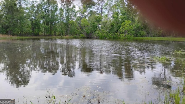0 Snipesville Rd, Denton, GA 31532