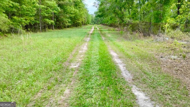 0 Snipesville Rd, Denton, GA 31532