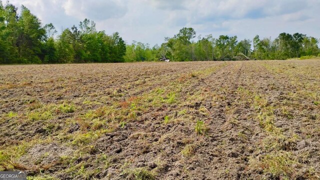 0 Snipesville Rd, Denton, GA 31532