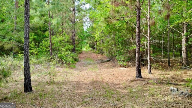 0 Snipesville Rd, Denton, GA 31532