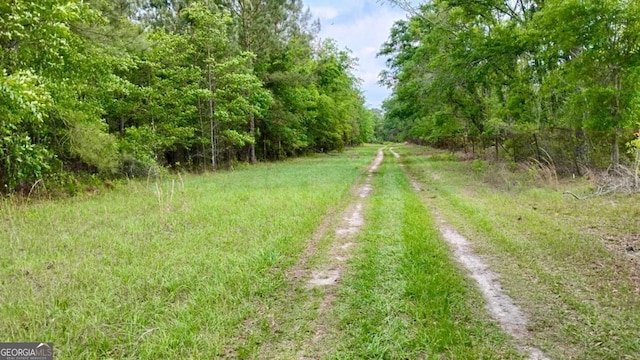 0 Snipesville Rd, Denton, GA 31532