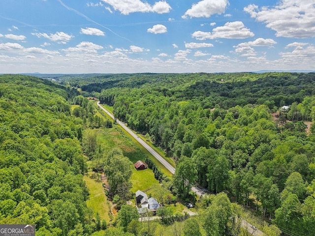 drone / aerial view of a forest