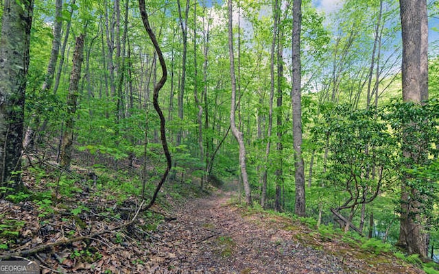 view of tree filled area