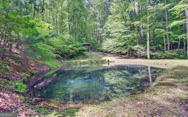 view of yard featuring a forest view