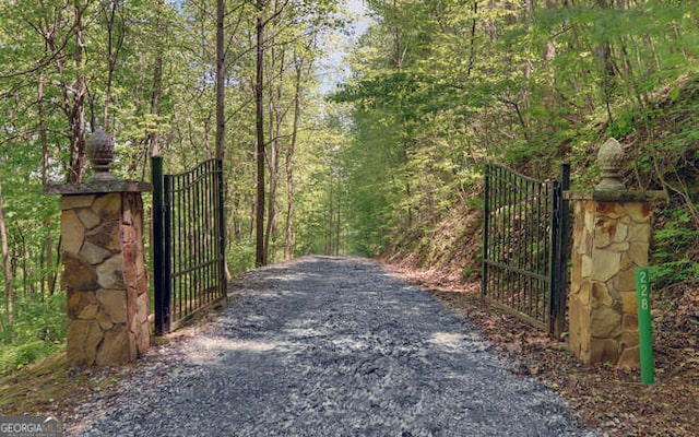 gate with a forest view