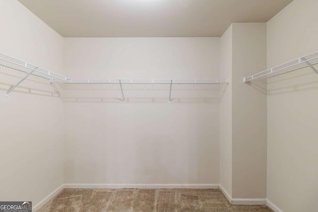 255 Dublin Way, Dallas, GA 30132 - walk in closet featuring carpet floors