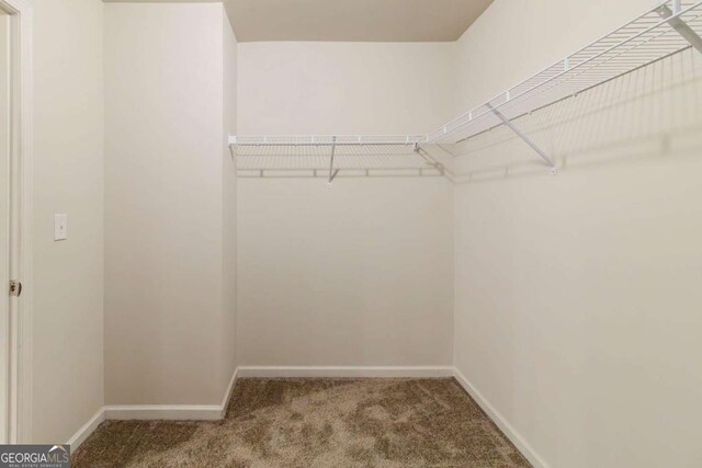 255 Dublin Way, Dallas, GA 30132 - spacious closet featuring carpet