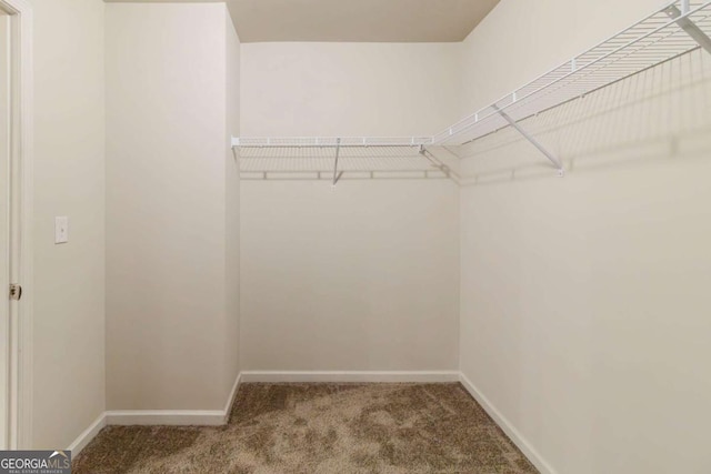 255 Dublin Way, Dallas, GA 30132 - spacious closet with carpet