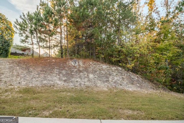 255 Dublin Way, Dallas, GA 30132 - view of yard