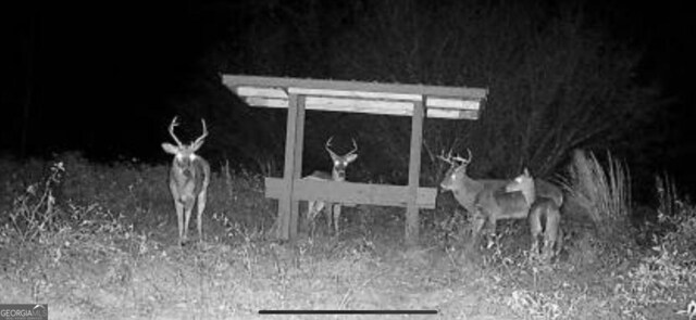 0 District Line Rd, Cuthbert, GA 39840