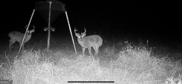 0 District Line Rd, Cuthbert, GA 39840