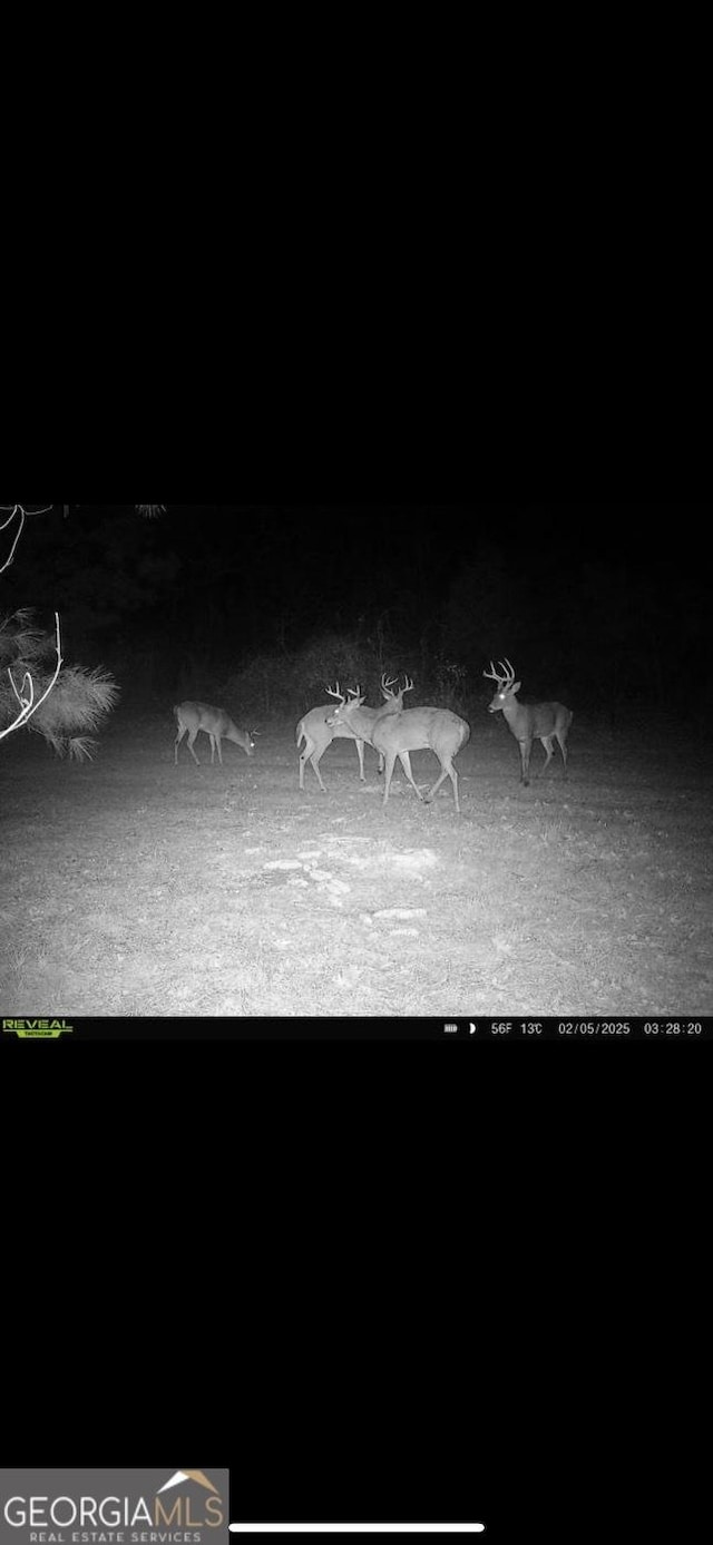 0 District Line Rd, Cuthbert, GA 39840