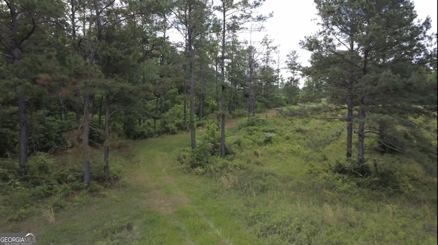 0 District Line Rd, Cuthbert, GA 39840