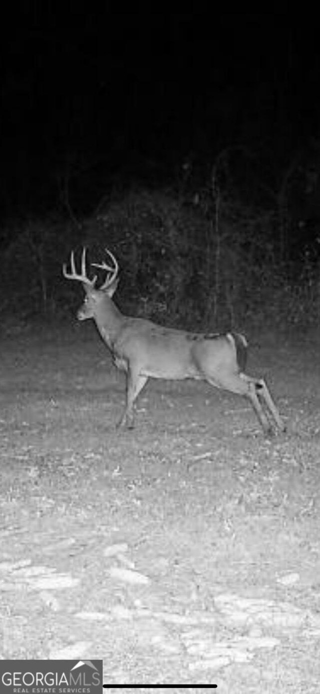 0 District Line Rd, Cuthbert, GA 39840