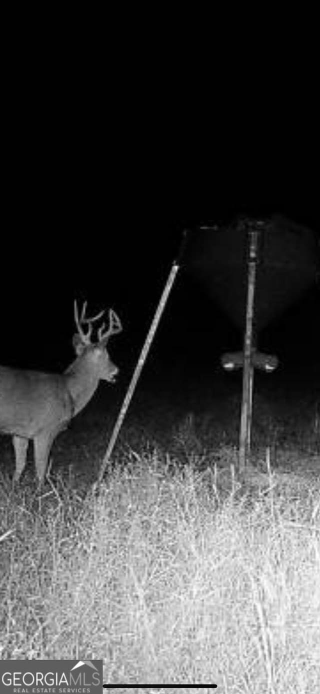 0 District Line Rd, Cuthbert, GA 39840