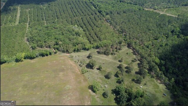 0 District Line Rd, Cuthbert, GA 39840