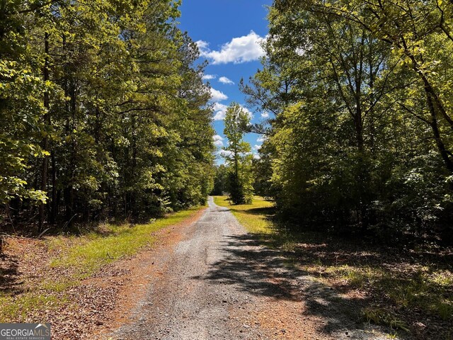 view of dirt / gravel road with a wooded view