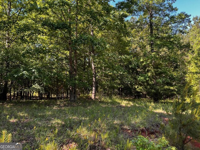 view of tree filled area