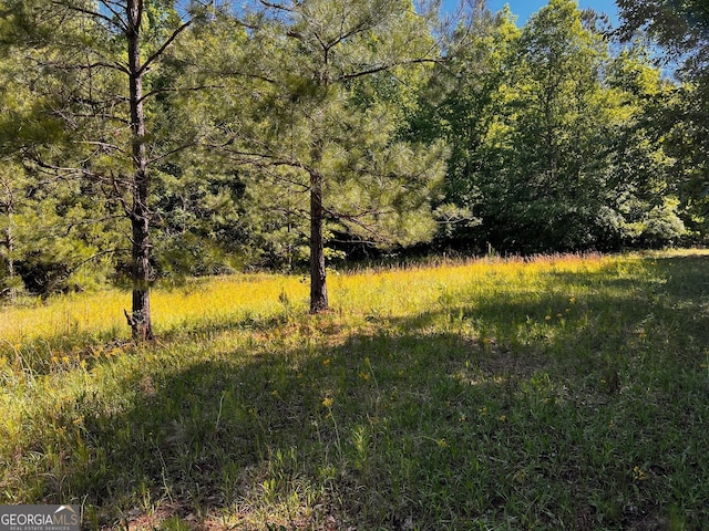 view of wooded area