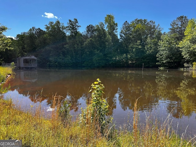 water view with a heavily wooded area