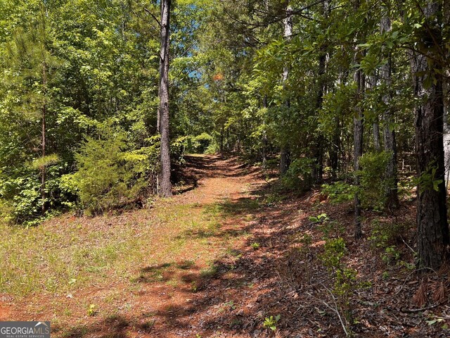 view of tree filled area