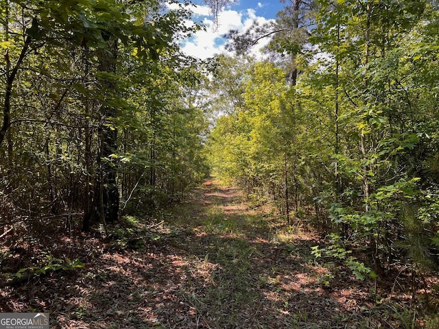view of wooded area