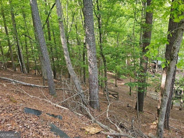133 32nd St Unit C618, Ellijay, GA 30540